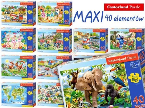 Castorland Puzzle 40el. MAXI duży wybór CA0015