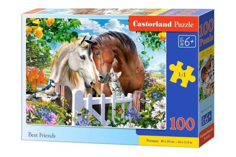 Puzzle 100 el. Best Friends