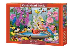 Puzzle 2000-elementów