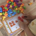 WOOPIE Zestaw Edukacyjny Nauka Liczenia Montessori Sorter Kolorów 16SZT